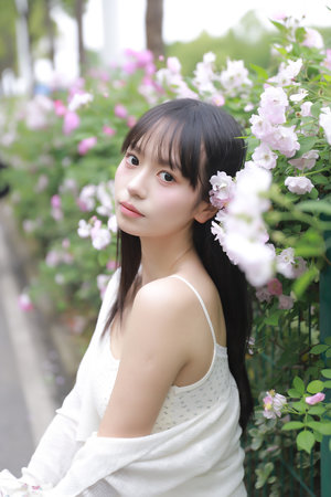 日本口会正在播放